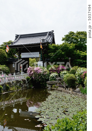 初夏の妙満寺 5037494