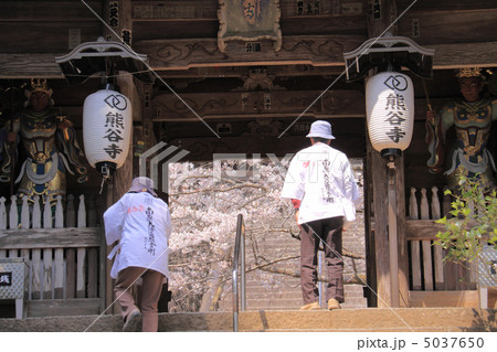 四国霊場第8番札所「熊谷寺」中門(二天門)と桜とお遍路さん 四国霊場第8番札所「熊谷寺」中門(二天門)と桜とお遍路さん 5037650