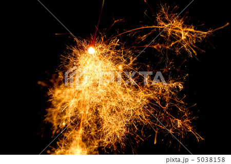 夏の風物詩～線香花火(徳川牡丹)～ 5038158