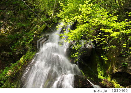 八岳の滝 八岳の滝 5039466