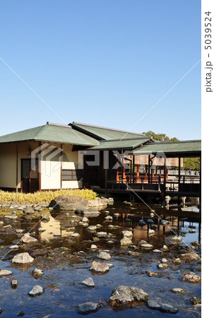 冬の白鳥庭園　清羽亭と汐入亭 5039524