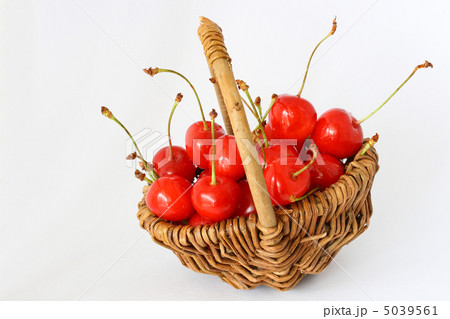 かごに盛ったサクランボ 5039561