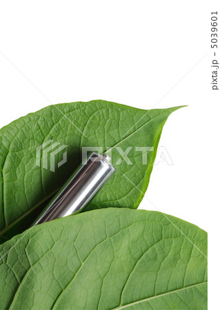 Battery And Leaves Battery And Leaves 5039601