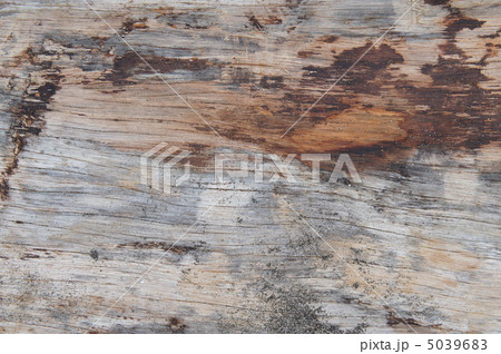 木目 5039683