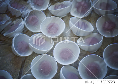 水まんじゅう 5039723