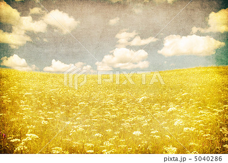 grunge image of green field and blue sky 5040286