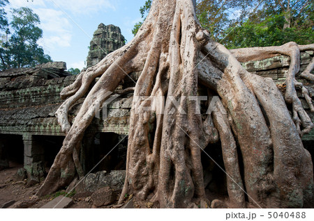 Ta Prohm Temple, Angkor, Cambodia 5040488