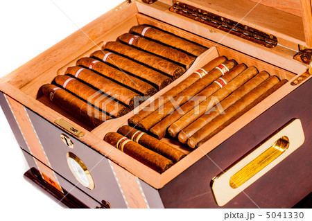 Cigars in humidor 5041330