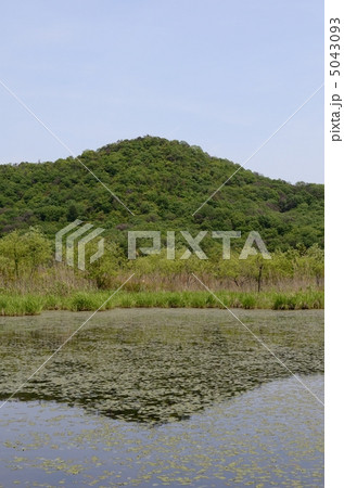 深泥池 深泥池 5043093