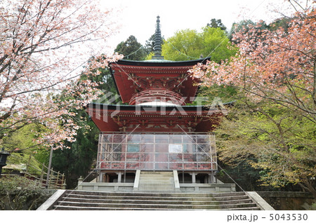 京都 春の法輪寺の多宝塔 京都 春の法輪寺の多宝塔 5043530