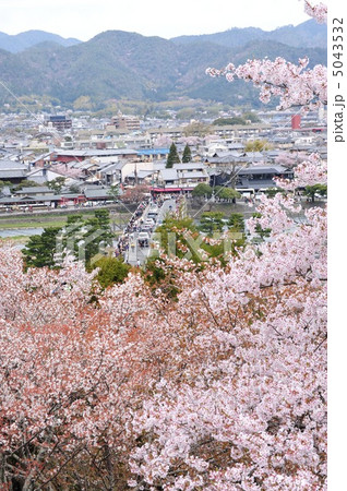 京都　嵐山渡月橋の春 5043532