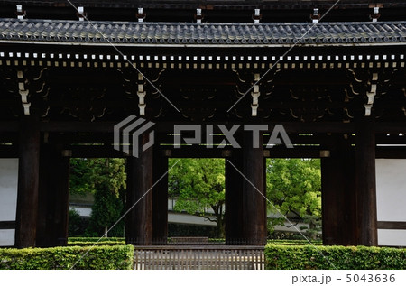 東福寺の三門と新緑 5043636