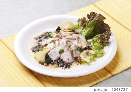 たこのマリネ　カルパッチョ　イメージ素材 5043727