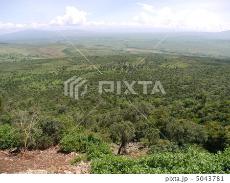 アフリカ大地溝帯 5043781