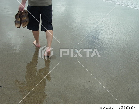 海辺の散歩 5043837