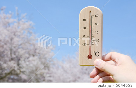 温度計と桜 5044655