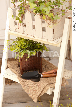 ガーデニング 5044782