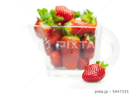 juicy strawberries in a bowl isolated on white juicy strawberries in a bowl isolated on white 5047335