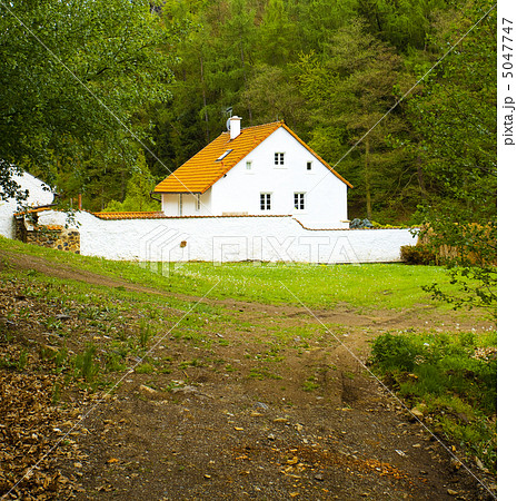 beautiful house in the green wood 5047747