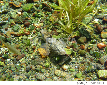 水中風景 5048101