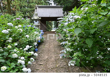 大中寺 5048535