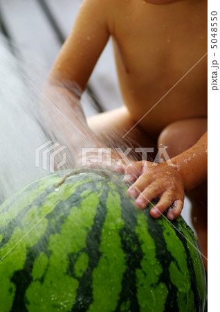 スイカを洗う子供 スイカを洗う子供 5048550