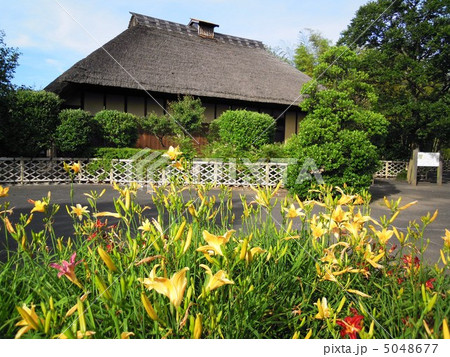 ネーブルパーク 古民家とキスゲ ネーブルパーク 古民家とキスゲ 5048677