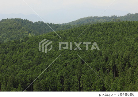 吉野山 吉野山 5048686