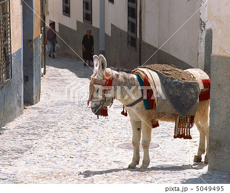 スペイン光と影 5049495