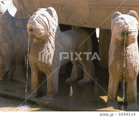 スペイン光と影 5049514