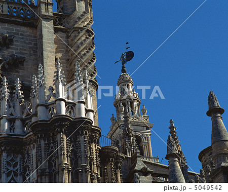 スペイン光と影 5049542