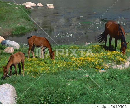 スペイン光と影 5049563