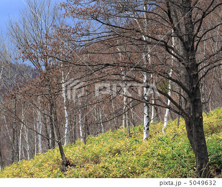 日本の山暦 日本の山暦 5049632