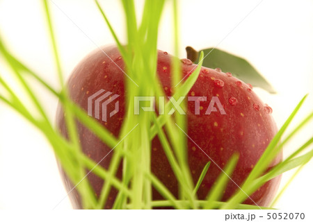 apple with leaf isolated on white 5052070