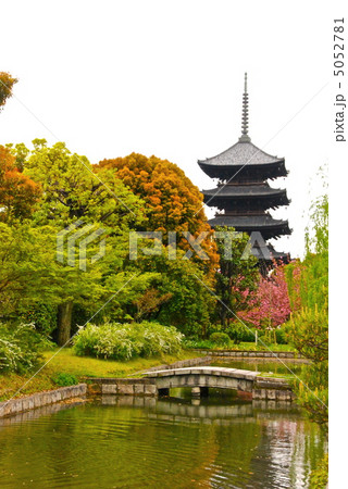 東寺(教王護国寺)の「五重塔」(京都市南区) 東寺(教王護国寺)の「五重塔」(京都市南区) 5052781