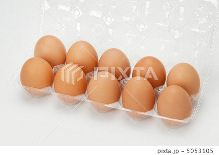 たまご たまご 5053105