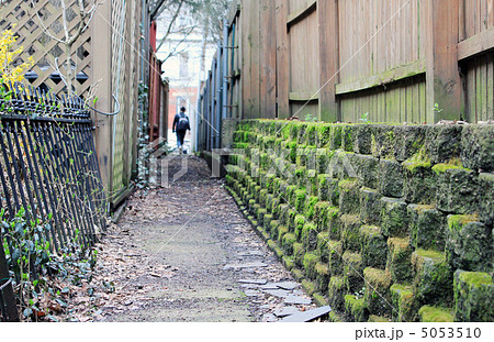 アメリカ 苔生した裏路地の写真素材