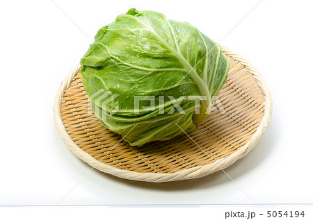キャベツ 5054194