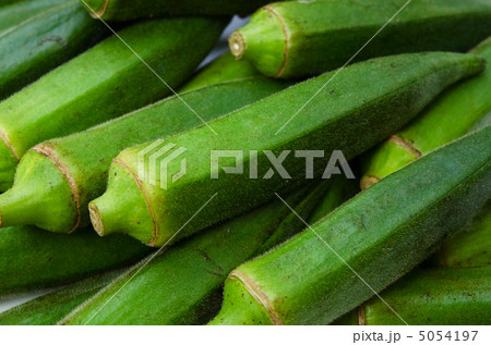 オクラ オクラ 5054197