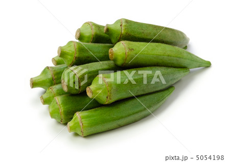 オクラ オクラ 5054198