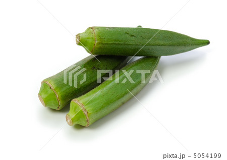 オクラ 5054199