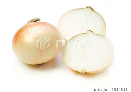 タマネギ 5054311