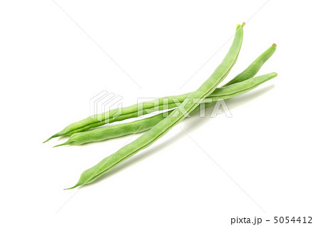 サヤインゲン 5054412