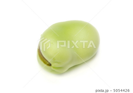 ソラマメ ソラマメ 5054426