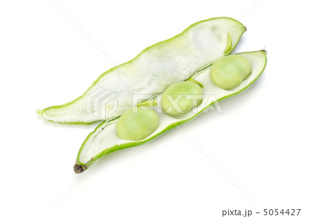 ソラマメ 5054427