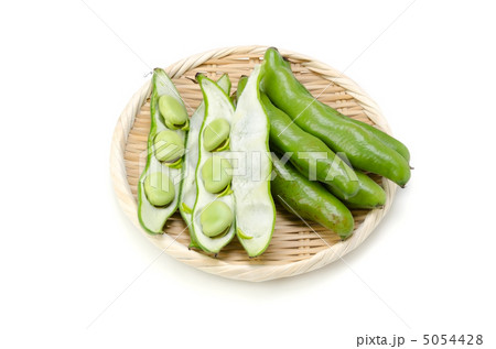 ソラマメ 5054428