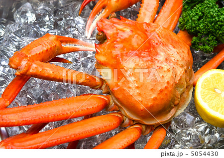 ベニズワイガニ ベニズワイガニ 5054430