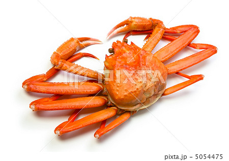 ベニズワイガニ 5054475