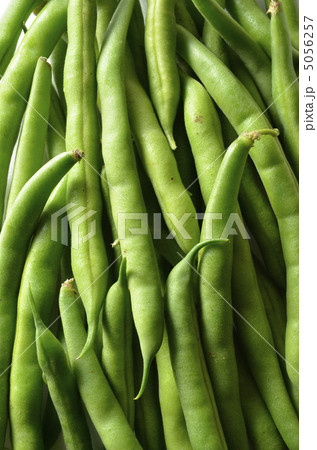 インゲン 5056257