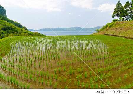 鹿児島 指宿 新永吉の棚田 池田湖 鹿児島 指宿 新永吉の棚田 池田湖 5056413